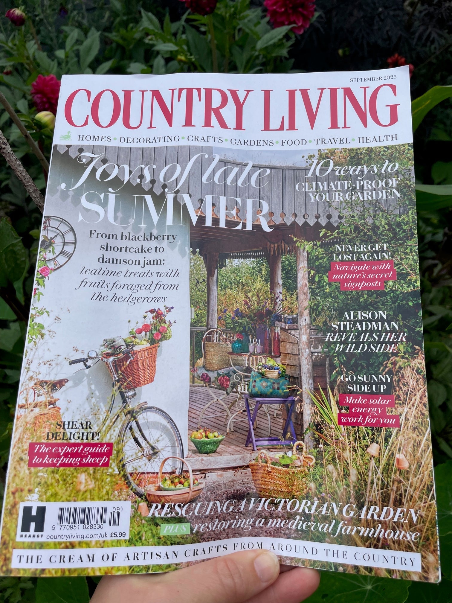 Goldfinch on Teasel Garden Stem featured in Country Living!