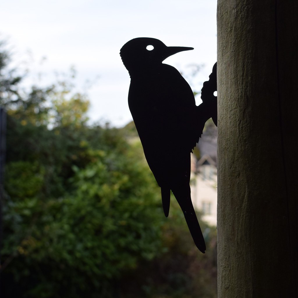 Bird - Woodpecker